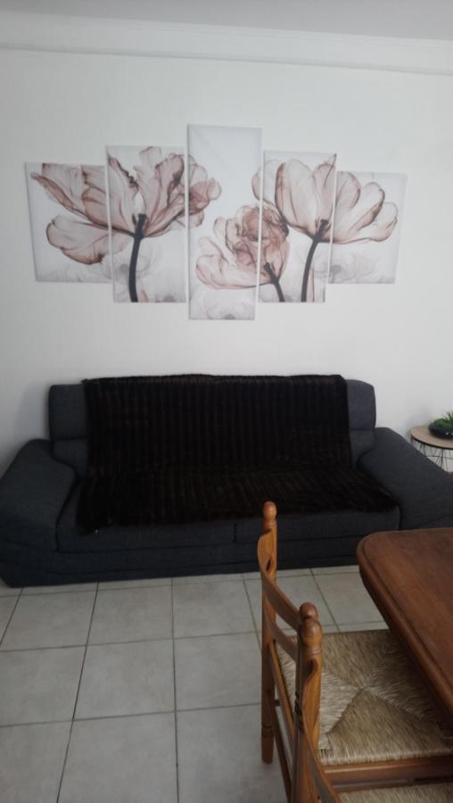 50 M Ocean Maison Classee 2 Etoiles 2/7 Personnes Mimizan-Plage Eksteriør bilde